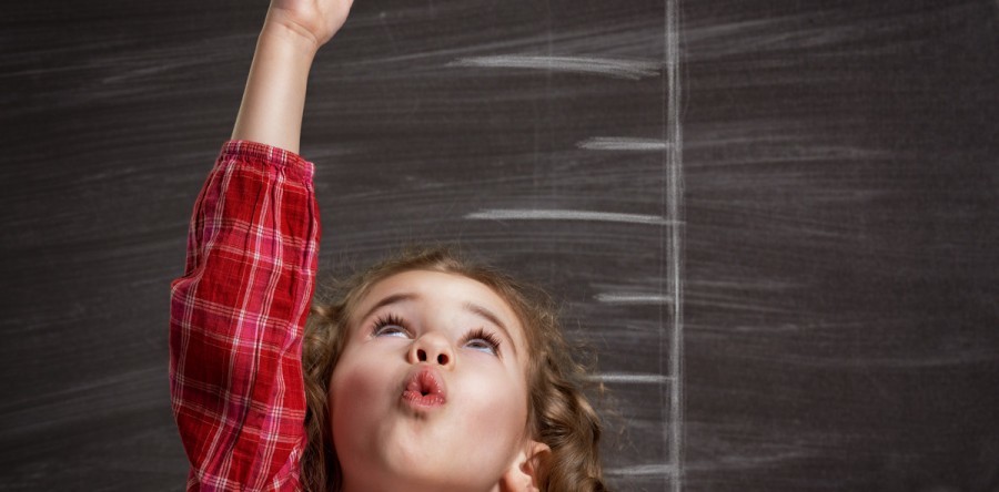 Groei, bloei, transitie in E-Commerce